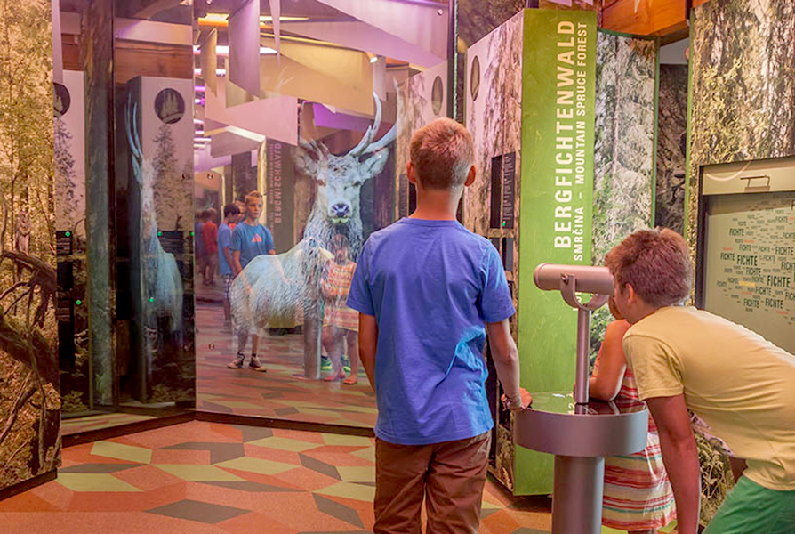 Waldgeschichtliches Museum